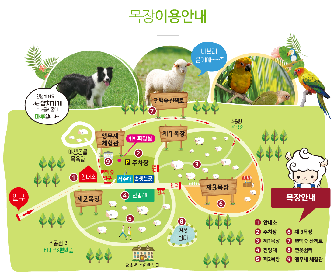 남해 상상양떼목장 앵무새 체험