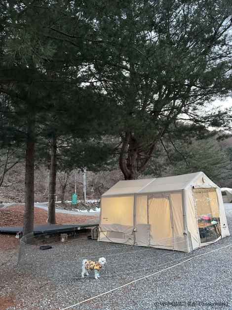 늘솔길