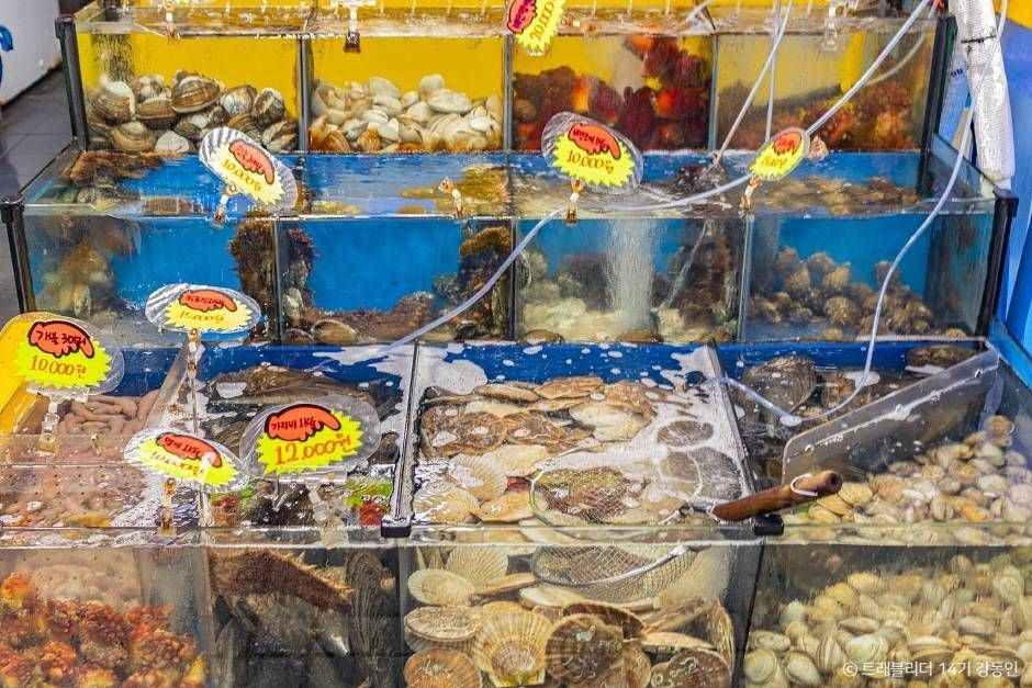 강릉 중앙시장 7