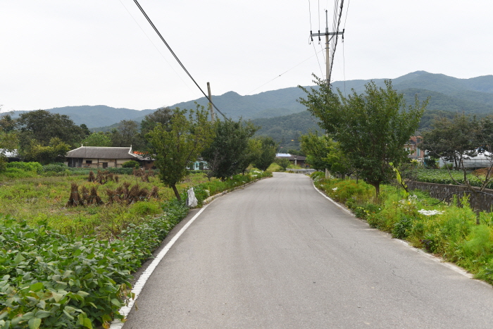 포도가 무르익는 안성 여행 웰촌 여행 가볼만한곳