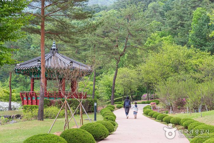 아이들도 쉽게 걸을 수 있는 수타사산소길