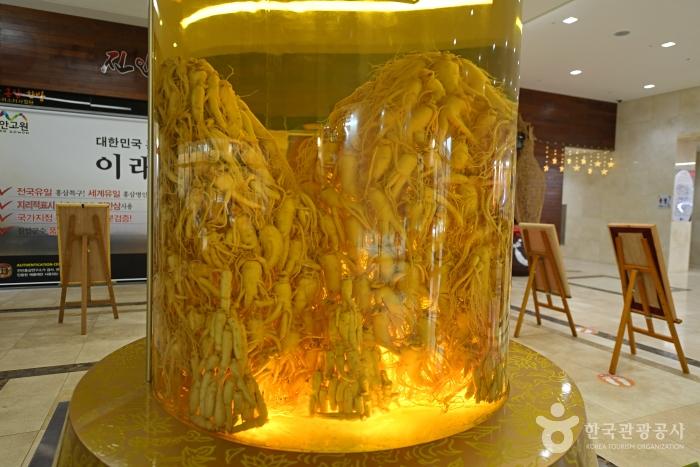 진안홍삼스파 로비에 있는 국내 최대 규모 인삼주. 인삼으로 마이산을 표현했다.