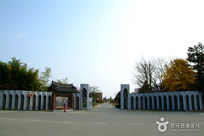 인생샷 남기고 추억 남기고 여행 가볼만한곳