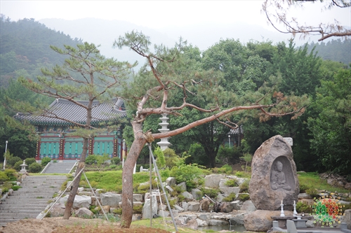 거북이가 앉아있는 좌구산에서의 힐링여행 여행 가볼만한곳