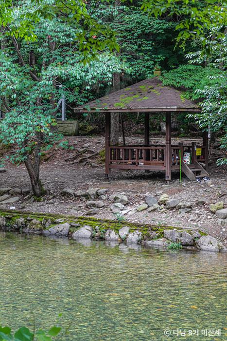9월 여행, 숲내음 맡으며 힐링하기 좋은 자연휴양림 추천> 여행기사 :대한민국 구석구석 9월 여행, 숲내음 맡으며 힐링하기 좋은 자연휴양림 추천... 