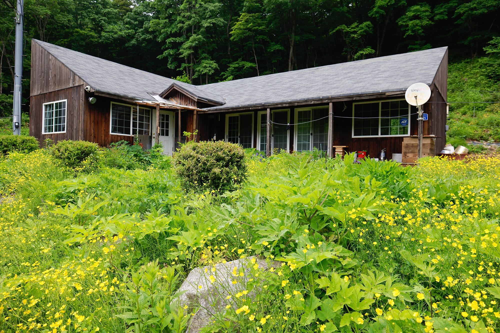 야생화와 어우러진 강선마을의 주택