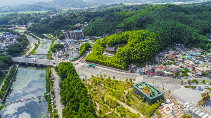 죽녹원 9