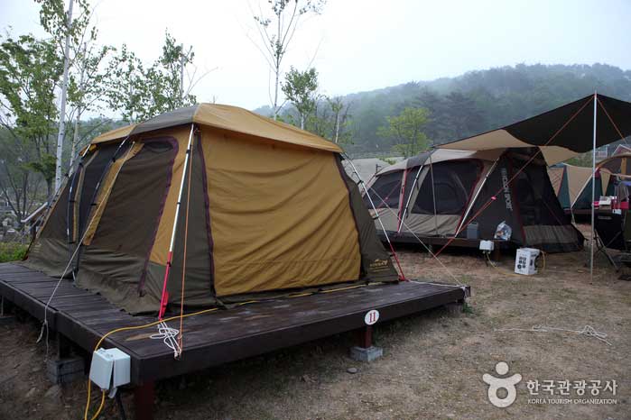 구름 위에 텐트를 세우다 ‘정선 동강전망자연휴양림 오토캠핑장’... ‘정선 동강전망자연휴양림 오토캠핑장’> 여행기사 :대한민국 구석구석 
