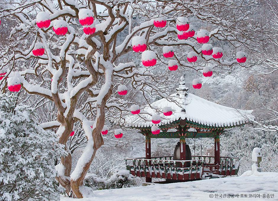 강한 적백(赤白)의 대비