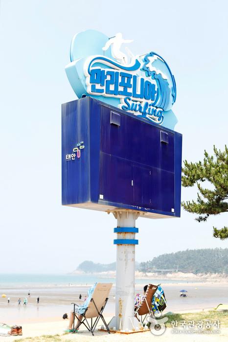 서퍼의 꿈을 실은 만리포 사랑, 태안 만리포니아서핑협동조합> 여행기사 | 관광두레:대한민국 구석구석