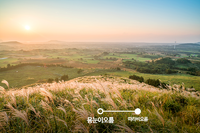 [제주 오름 추천] 진짜 제주를 만나다. 제주 오름 여행 코스> 여행기사 :대한민국 구석구석 [제주 오름 추천] 진짜 제주를 만나다. 제주 오름 여행... 