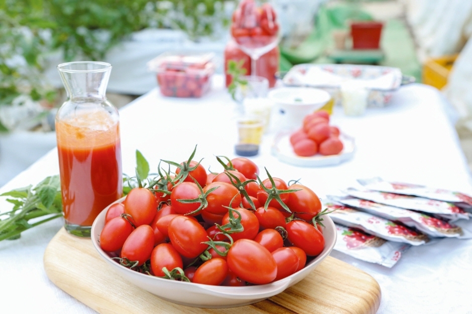 토토마마 여행 가볼만한곳