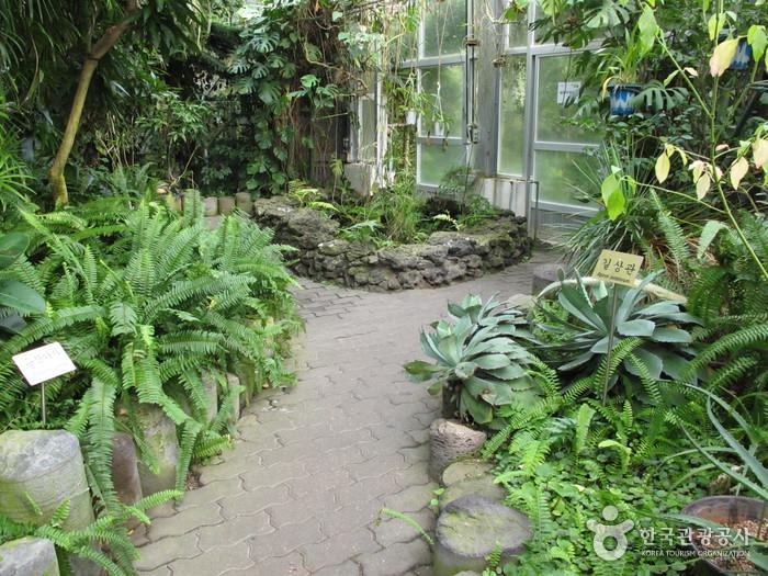 한라산 품 안에서 보내는 하룻밤 여행 가볼만한곳