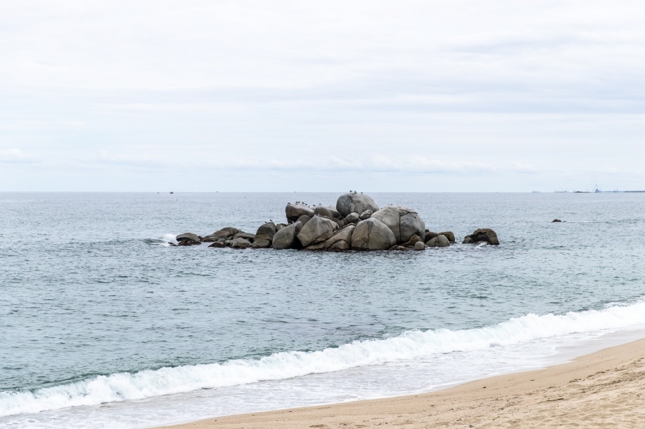 사천해변(사천해수욕장) 1