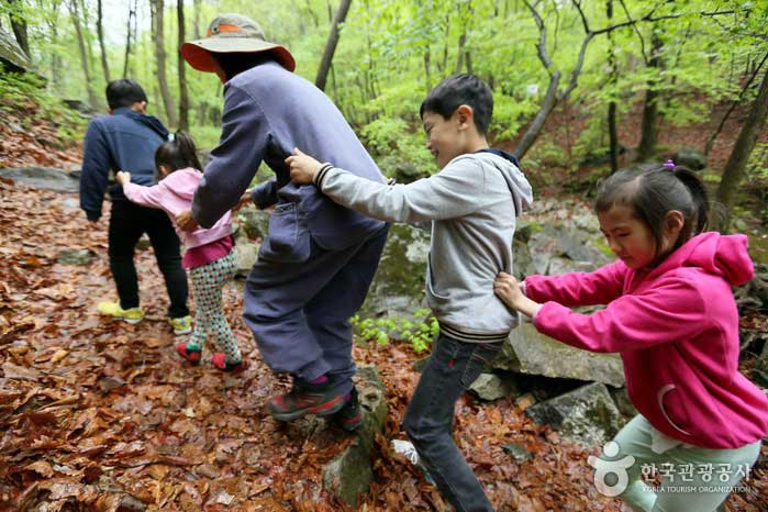 국립산음자연휴양림 반려견 지구 양평군 애견여행지