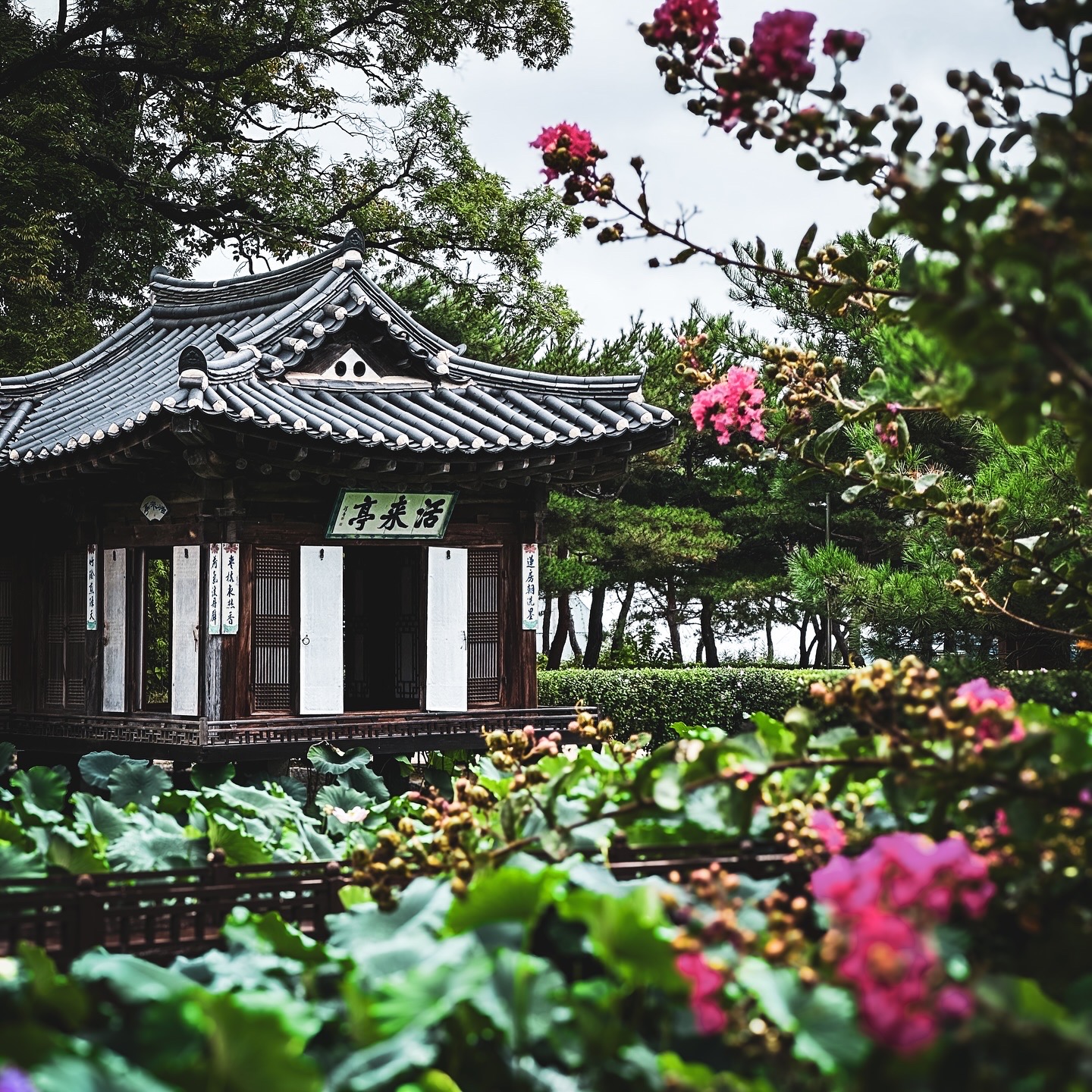 강릉 선교장 전경 2