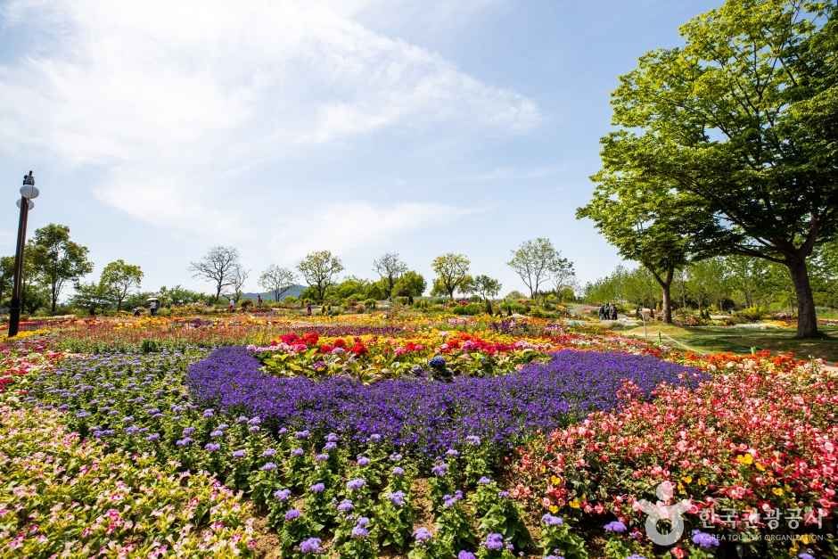 순천만습지 · 순천만국가정원 사진 9