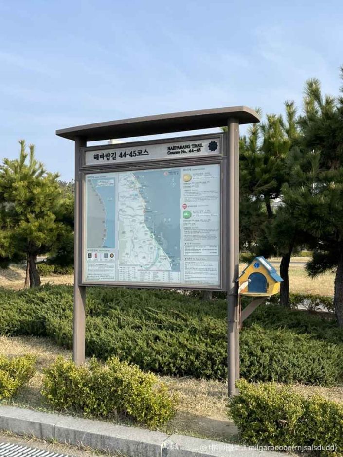 해파랑길 45코스> 여행지 | 반려동물 동반여행:대한민국 구석구석