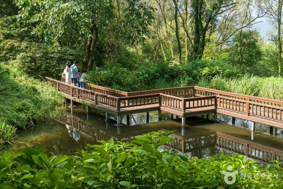 용인자연휴양림 5