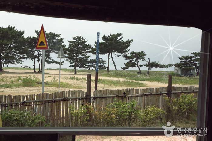 바다로 향하는 꽃길, 태안 청포대 카라반 빌리지> 여행기사 :대한민국 구석구석 바다로 향하는 꽃길, 태안 청포대 카라반 빌리지> 여행기사... 