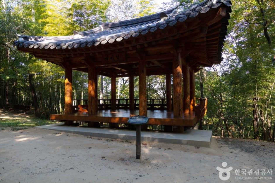 죽녹원 6