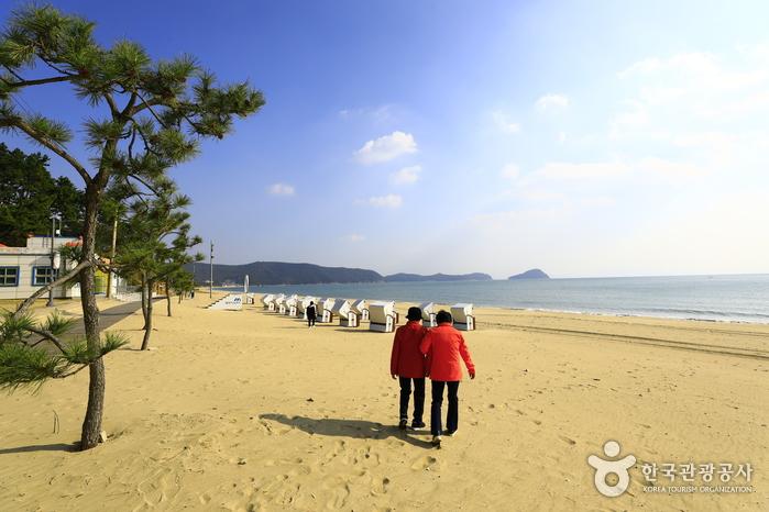 신지명사십리해수욕장 모래사장