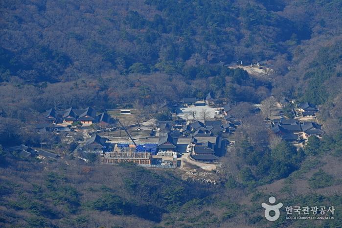 가련봉에서 숲속의 대흥사를 내려다본 풍경