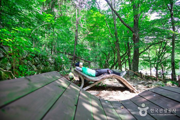 [무주] 몸도 마음도 무더운 여름날 느긋하게 걷기 좋은 계곡 무주구천동> 여행기사 | 한국관광품질인증[Korea Quality]:대한민국 구석구석... 