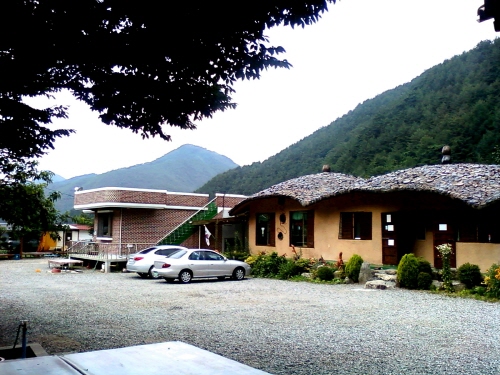 인제 황태 요리