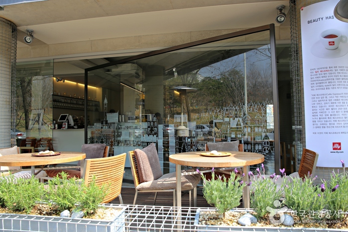 cafe G 여행 가볼만한곳