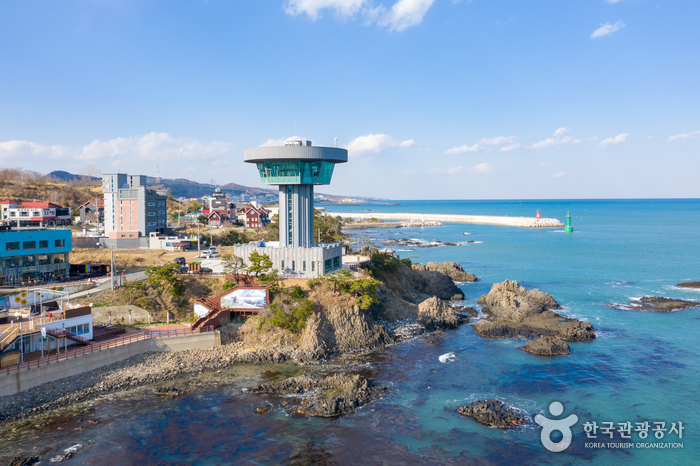 경주 양남 주상절리 전망대  3