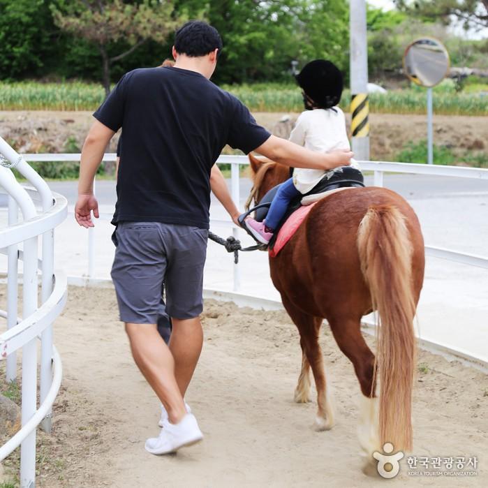 보호자와 함께 유아승마체험