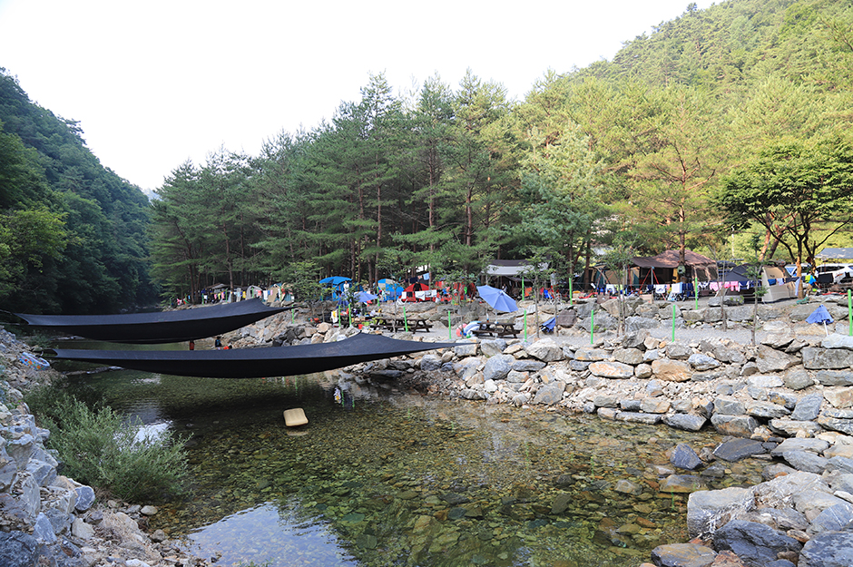 도원패밀리캠핑장> 여행지 :대한민국 구석구석 도원패밀리캠핑장> 여행지 :대한민국 구석구석 
