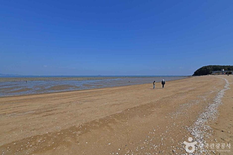 영흥도 십리포해변 5