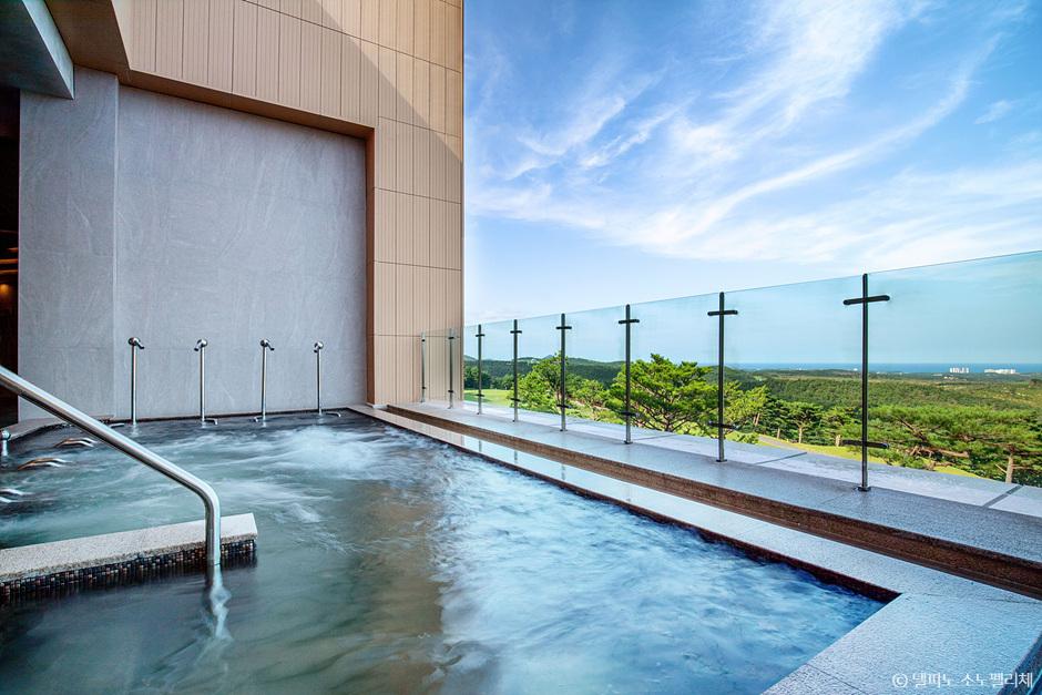 소노펠리체 델피노