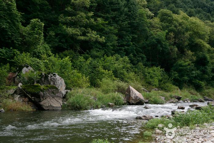 청우산과 조종천을 끼고 흐르는 녹수계곡