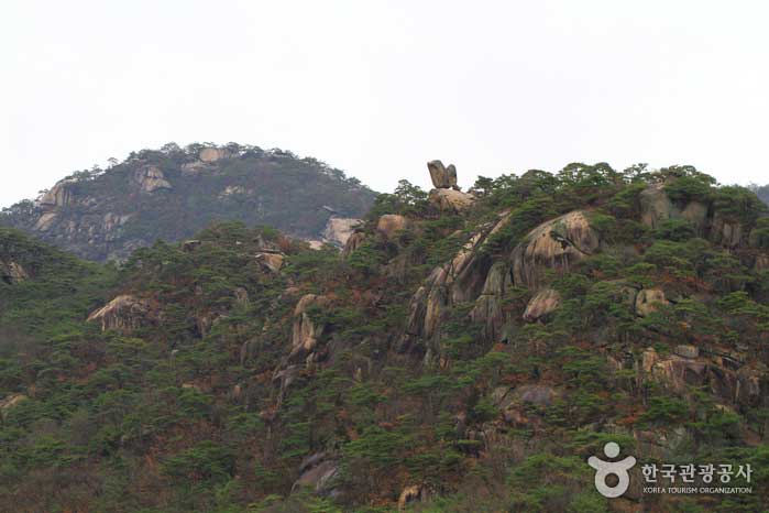 가는 길에 보이는 엄지바위는 돌아오는 길에 암탉으로 보인다