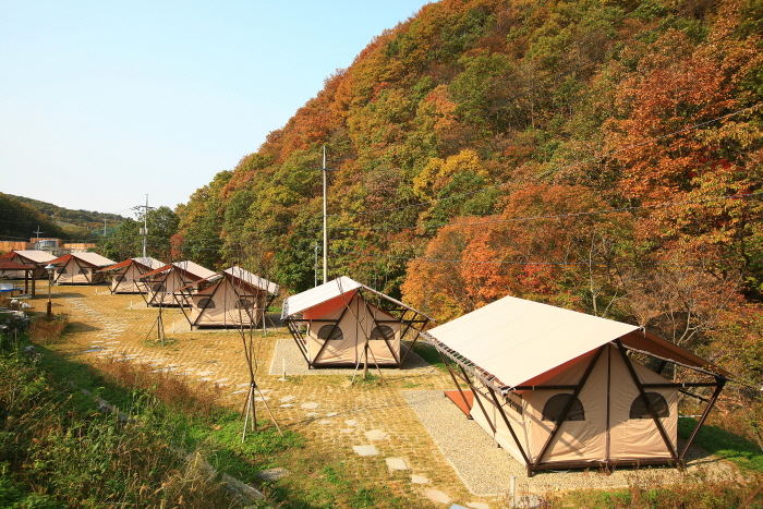 자연 속에서 즐기는 휴식 같은 캠핑 여행 가볼만한곳