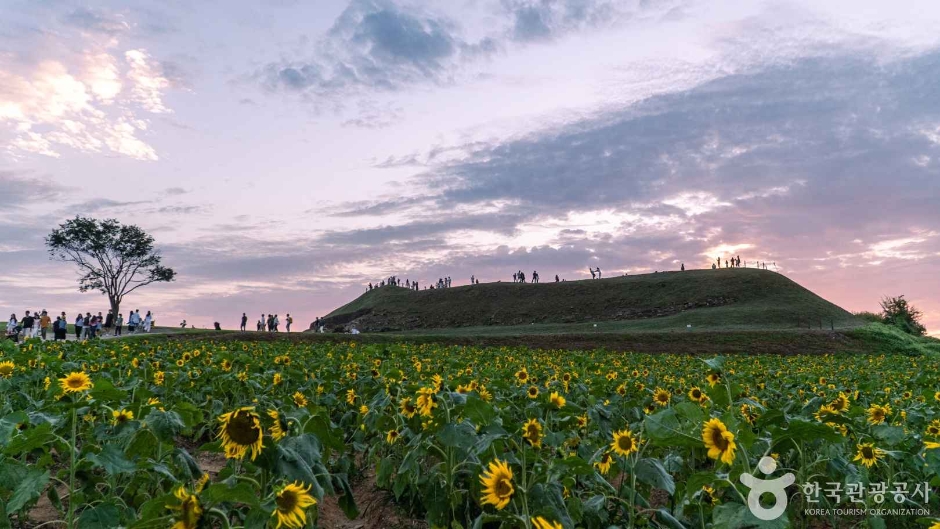 연천 호로고루 1
