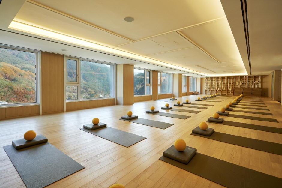 파크로쉬 리조트앤웰니스 (PARK ROCHE Resort&Wellness) 8