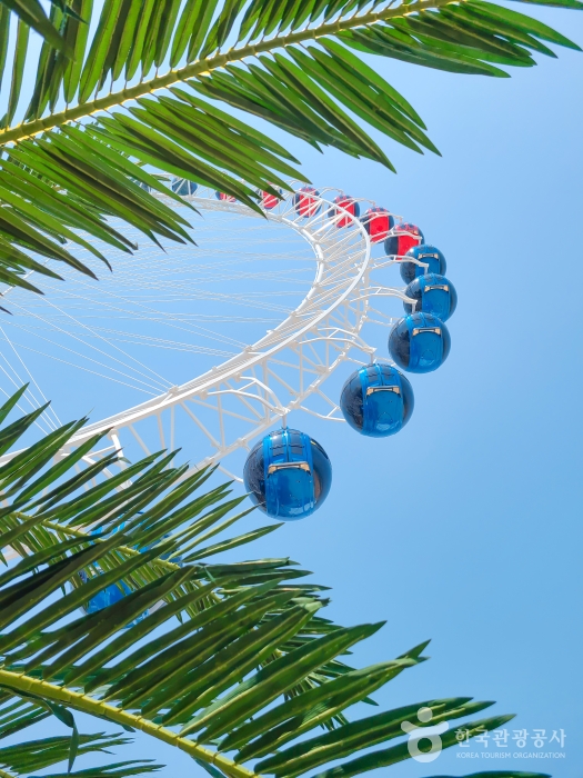 속초해수욕장 대관람차(속초아이) 5