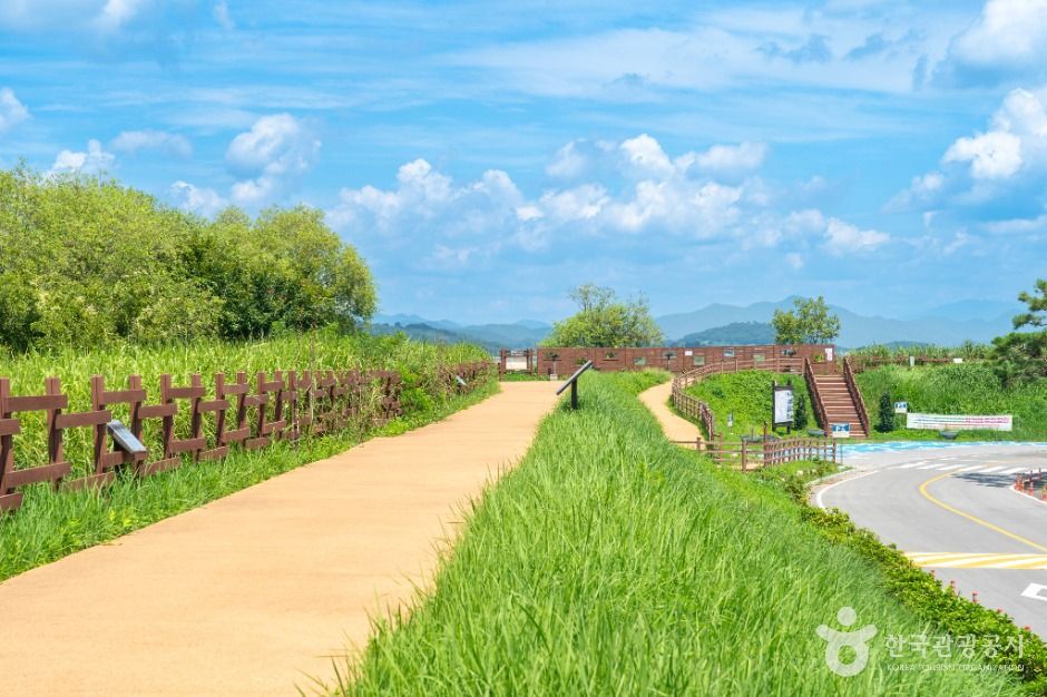 주남저수지 철새도래지 1