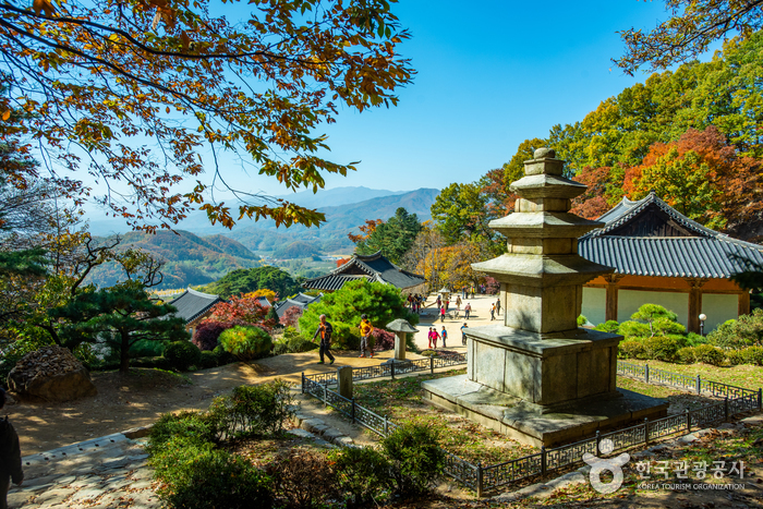 과거로 돌아가 잠시 삶의 쉼표를 찍어보는 <span>영주</span> 여행