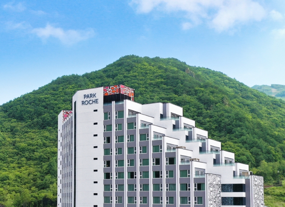 파크로쉬 리조트앤웰니스(PARK ROCHE Resort&Wellness) 6