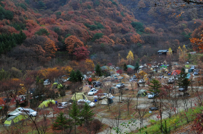 믿고 가는 전북의 캠핑장 두 곳, 무주 덕유대야영장 & 장수 방화동가족휴가촌> 여행기사 | 추천! 가볼만한곳:대한민국 구석구석