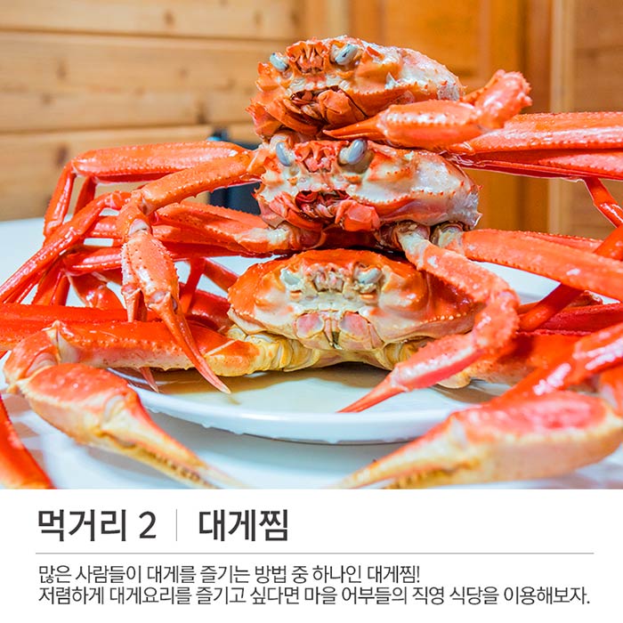 대게랑 바다랑 구석구석 영덕 여행