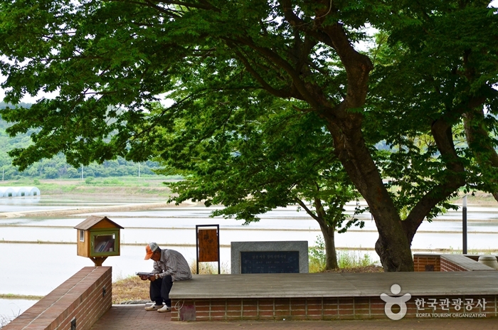 송정그림책마을 입구