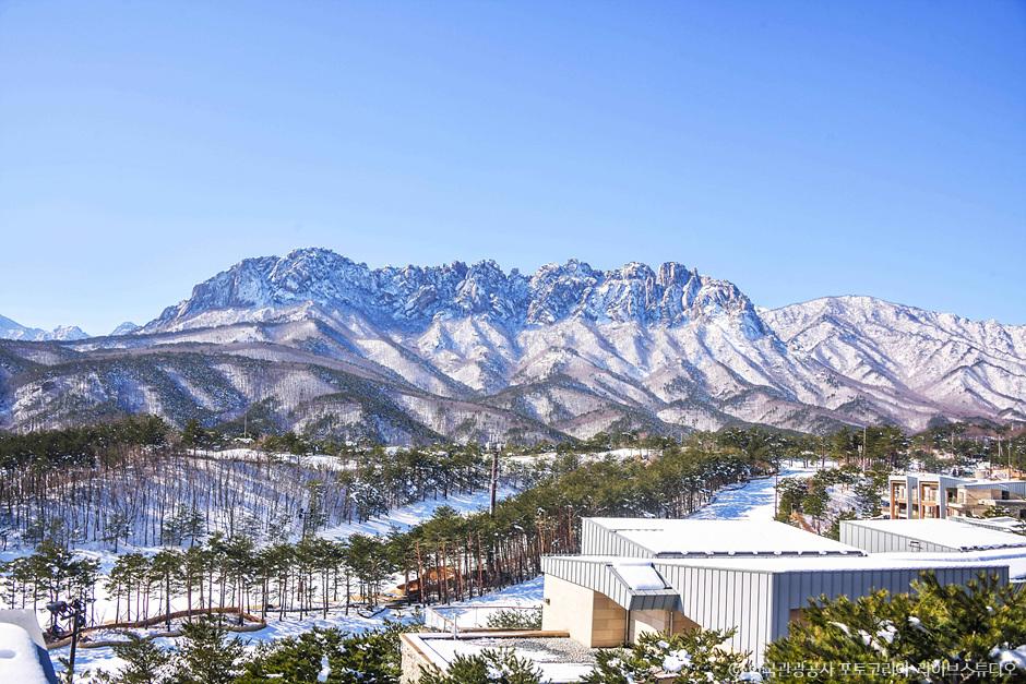 고성 소노펠리체 델피