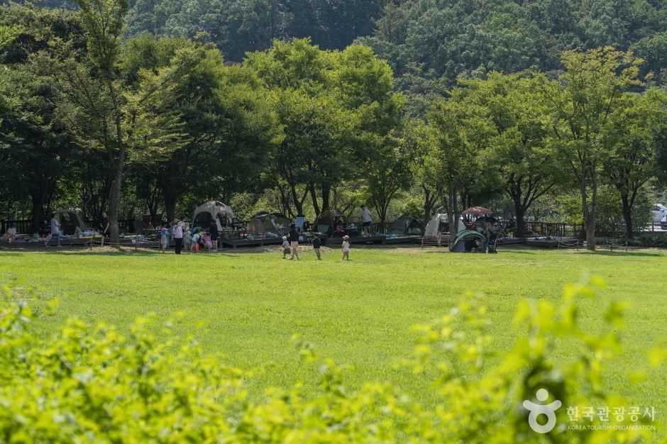 용인자연휴양림 8