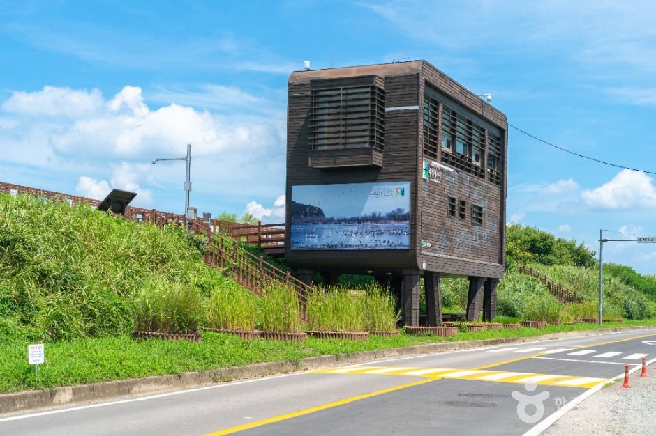 주남저수지 철새도래지 2